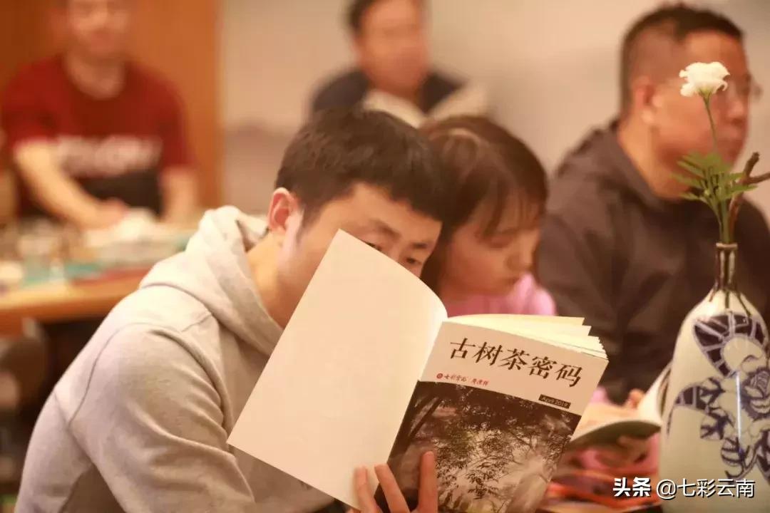 普洱茶百山百味茶,普洱茶的魅力百山有百味