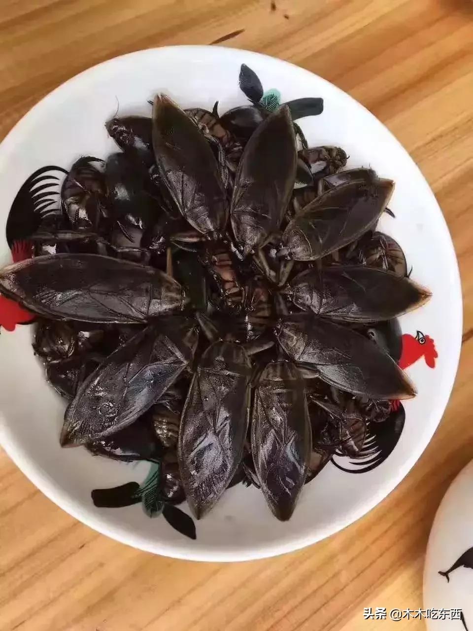 全国迷惑的特色美食,全国美食猎奇