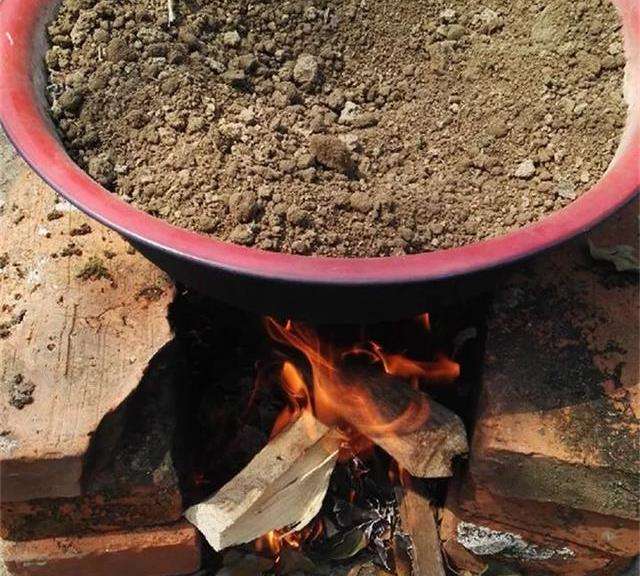 养花怕生虫?4个方法除“隐患”,土壤没虫卵病菌,养啥旺啥