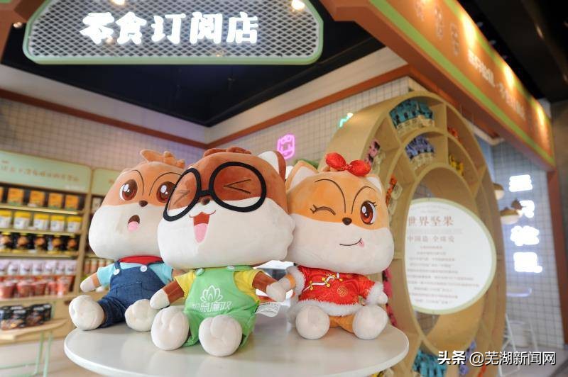 安徽芜湖民营企业,芜湖民营经济占比