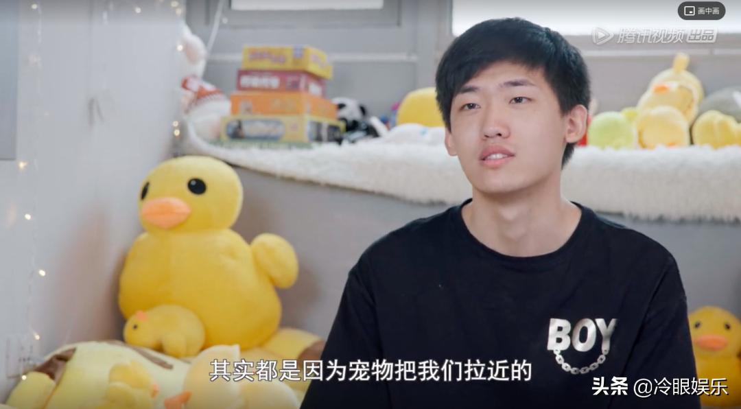 什么小动物最可爱最便宜最容易养,小动物长得最美也最可爱