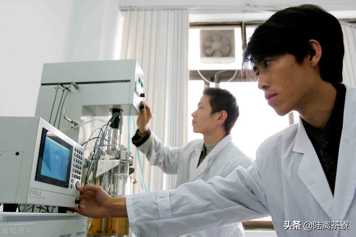 普洱茶熟茶检查出好多细菌,变质的普洱熟茶喝了会怎样