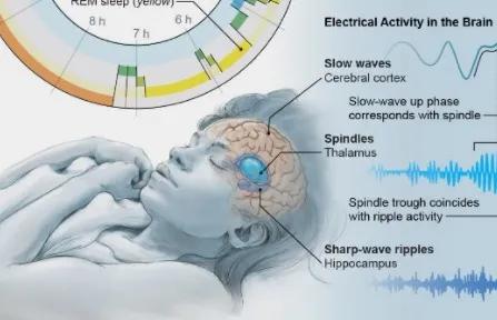 四十岁如何进行脑力训练,中年脑力训练
