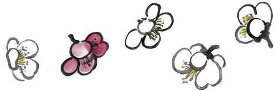 国画梅花上的雪画法步骤教程视频,零基础国画入门画梅花教程