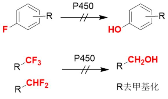 瀹濊棌鐢峰mod,瀹濊棌鐢峰鑻辨枃