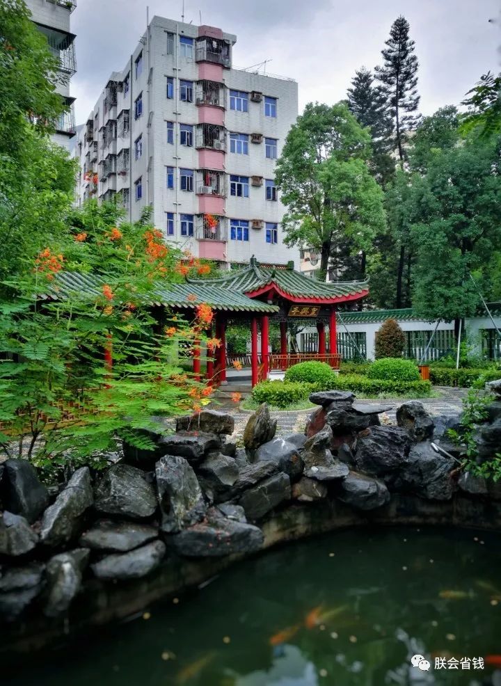 深圳一日游必去的地方免费,深圳周末自驾一日游