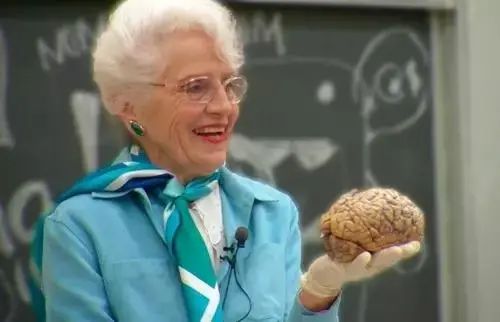 爱因斯坦大脑被解剖240块去了哪里,解剖爱因斯坦大脑全过程