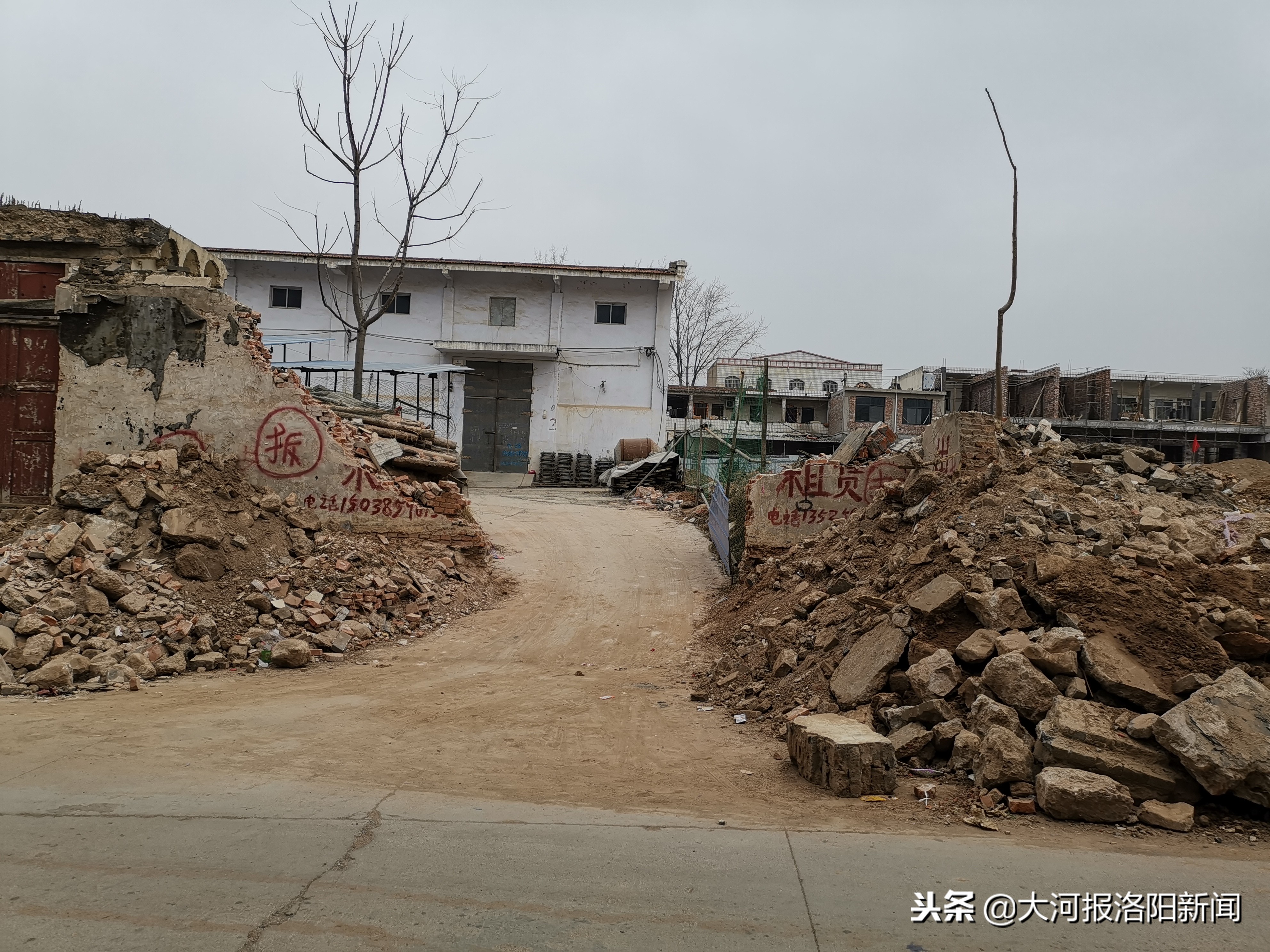 洛阳伊川：粮管所一块地租给两家人，租金从每月10块变每年10块