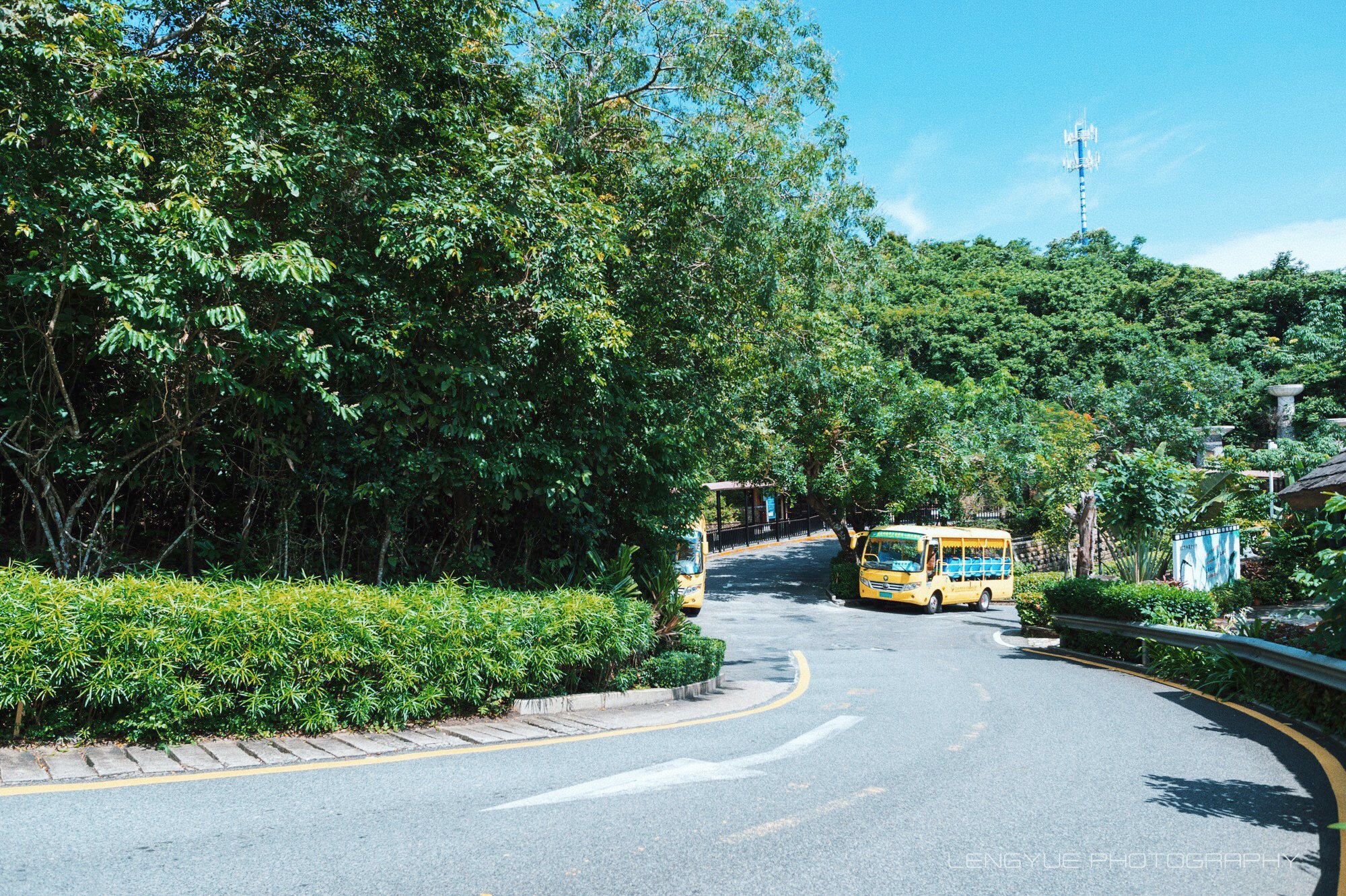 三亚地区国家级森林公园,三亚森林公园有哪些明星来过