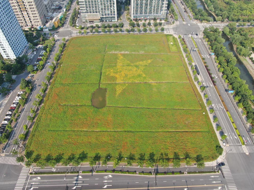 太美的花海,余杭千里花海