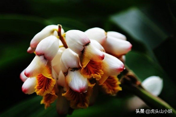 1到100岁古人对各年龄段的称谓,古代女子各年龄的称呼