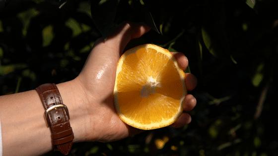 朱广权爆金句直播间,朱广权最近直播视频