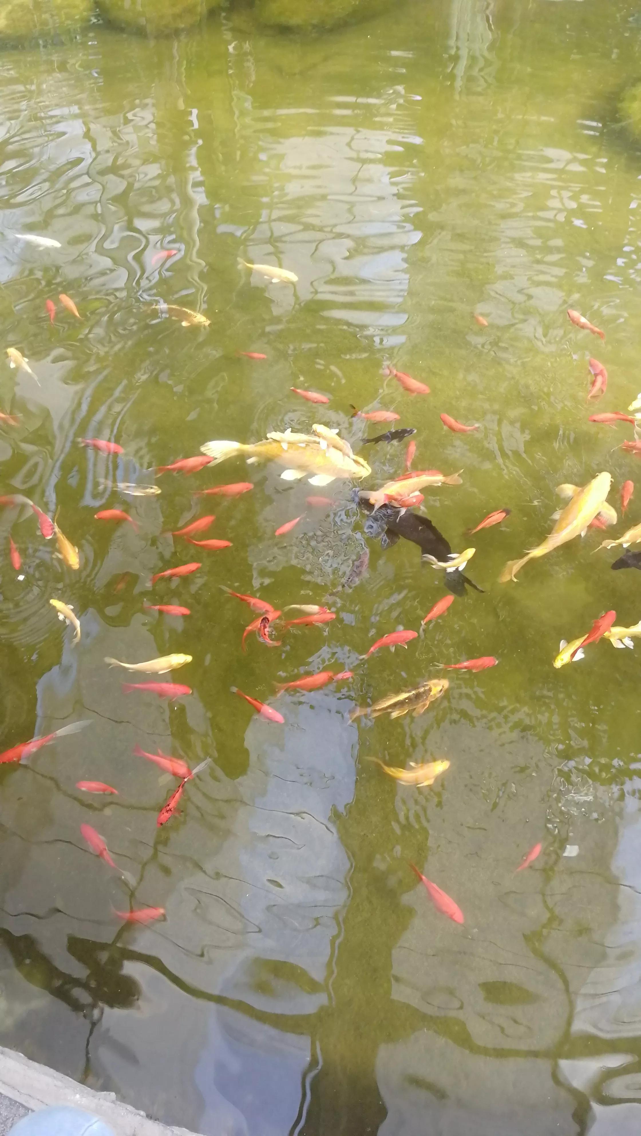 九天休闲谷现在去热吗,九天休闲谷完整版