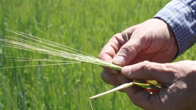 回归大自然的农场,重返自然生态农场优惠