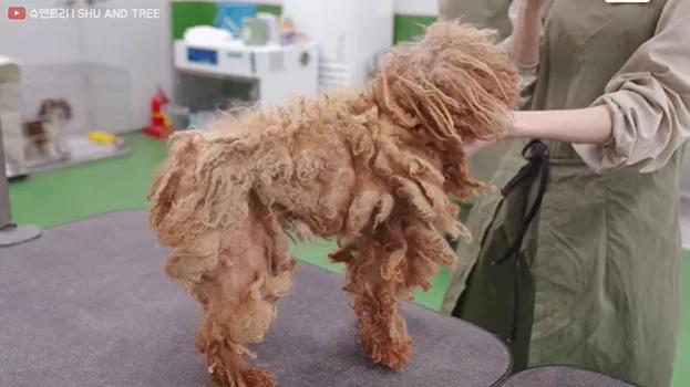 tony老师高阶换头术,90后tony老师换头术