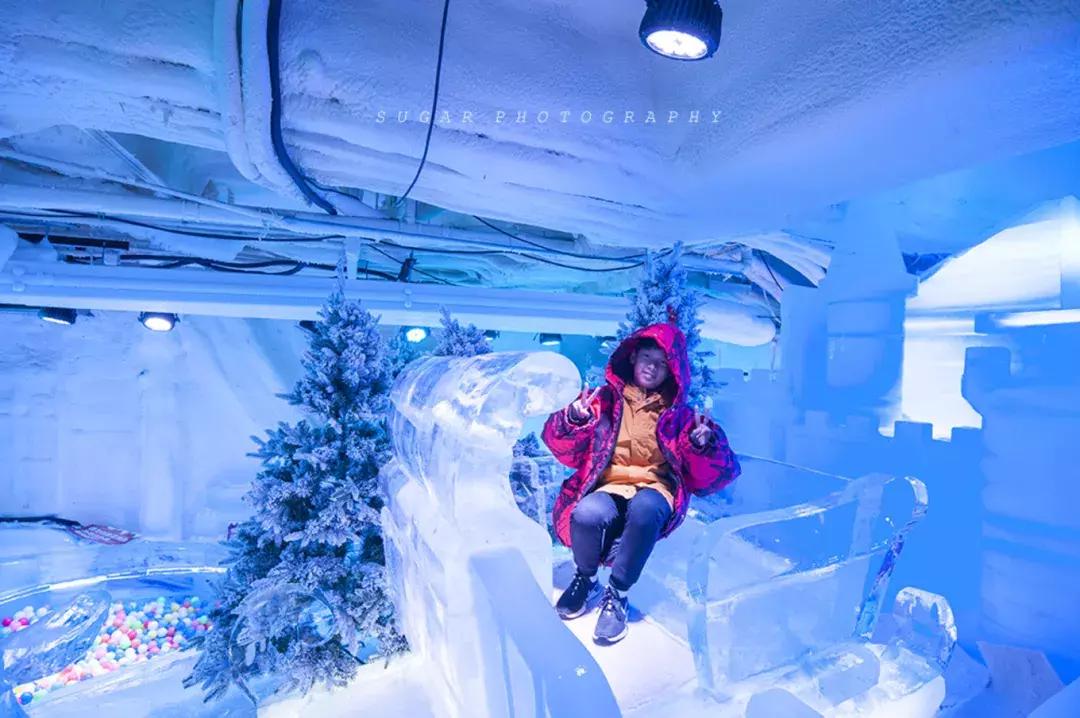 「亲子游」与万千海洋动物一起，夜宿探索极地海洋之美