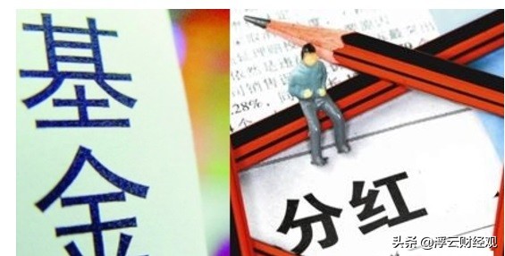 基金分红什么意思是额外赚钱吗,基金分红是现金分红还是红利再投