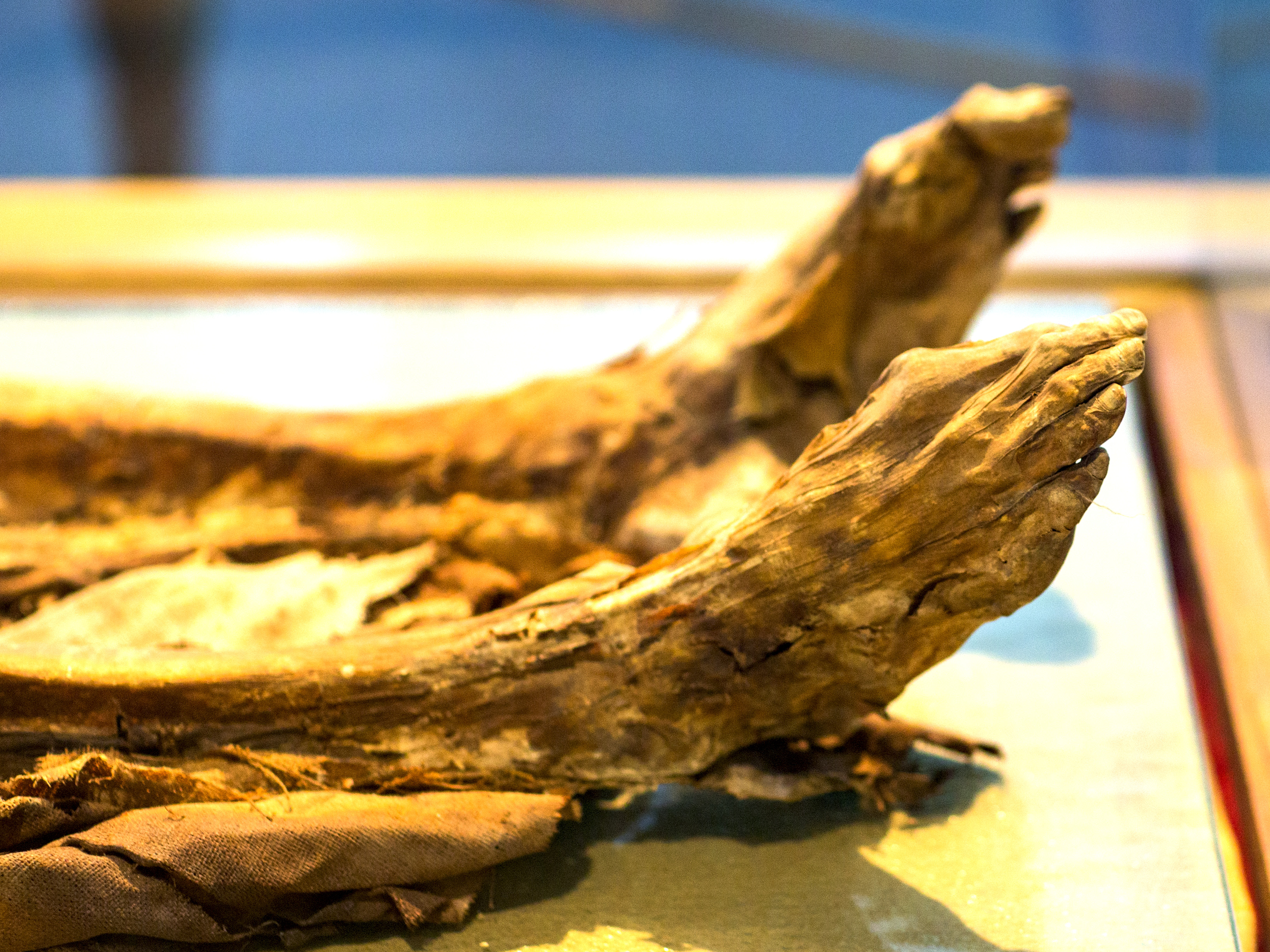 黄沙永恒,黄沙之下永恒的寂静