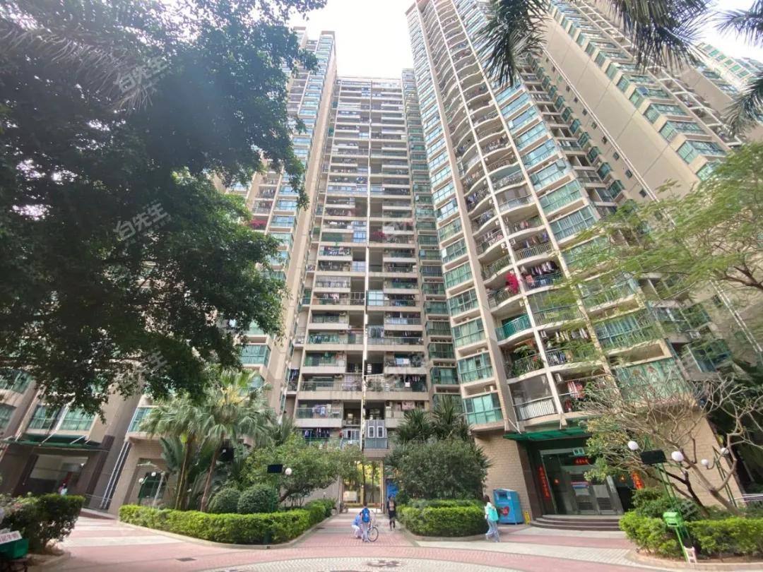 八大录取率名列前茅的二梯队石厦学校,学区房500万起