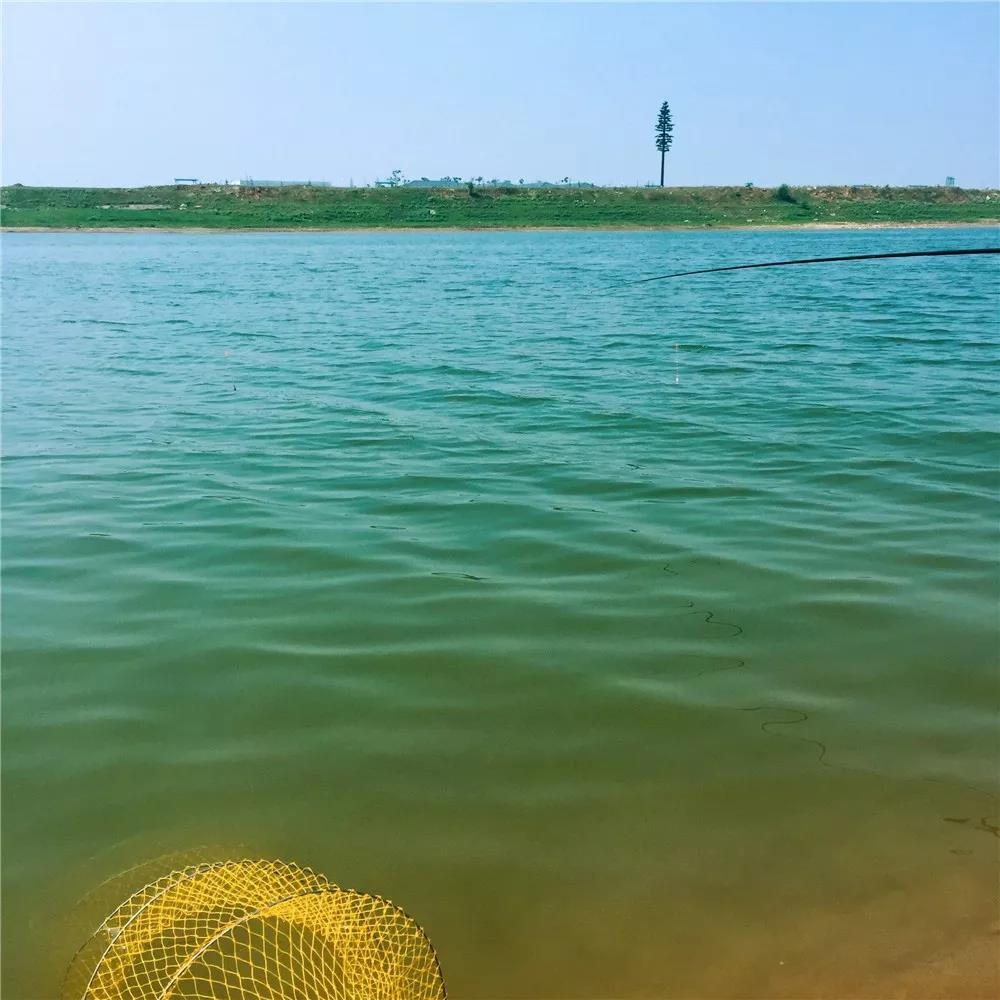 长沙橘子洲与南京江心洲,一定要来长沙看看橘子洲