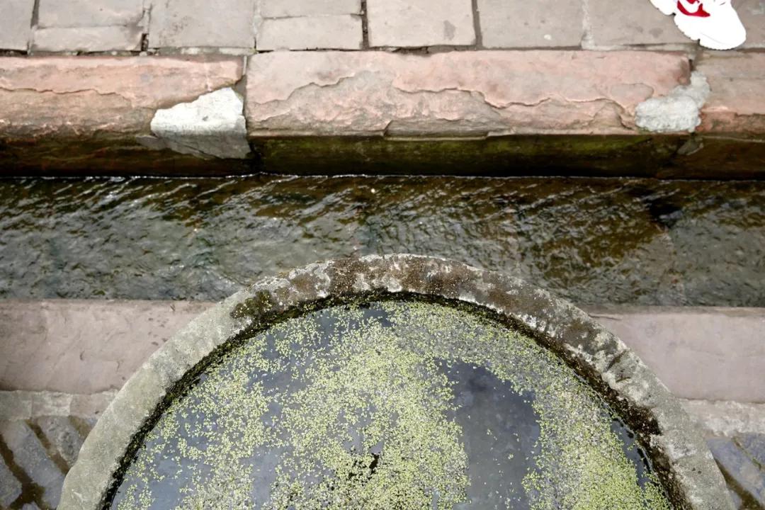 津门网金熙男:洛带印象