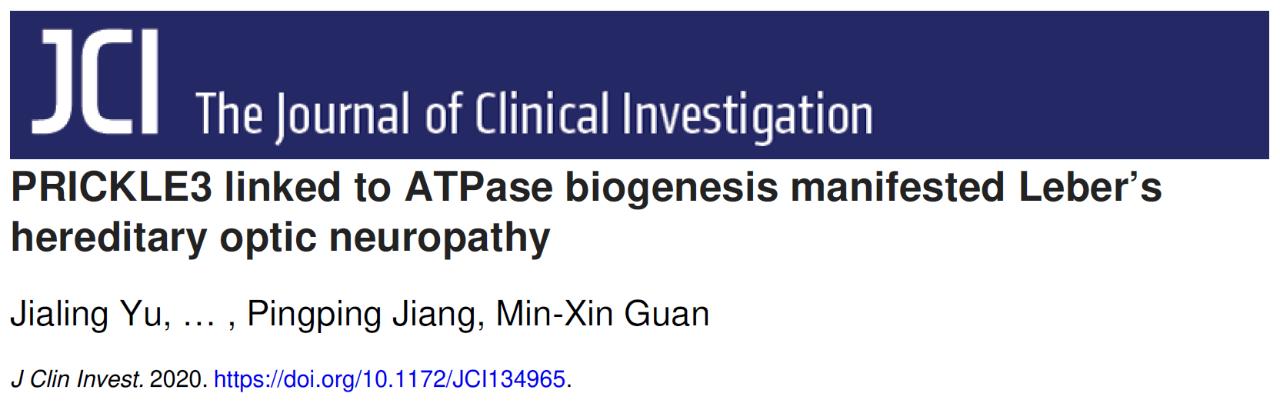 浙江大学管敏鑫,浙大管敏鑫科研团队
