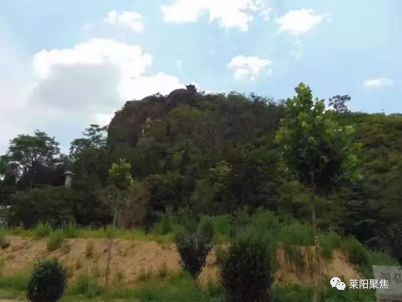 莱阳市御龙湾地址,莱阳御龙湾哪年开始建