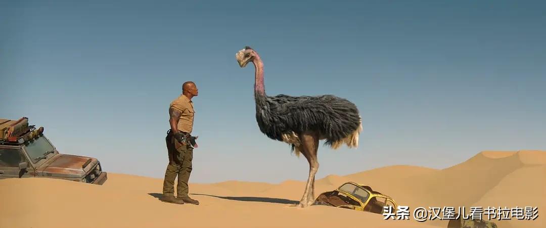 勇敢者游戏2再战巅峰变身,勇敢者游戏2太空飞行棋小男孩