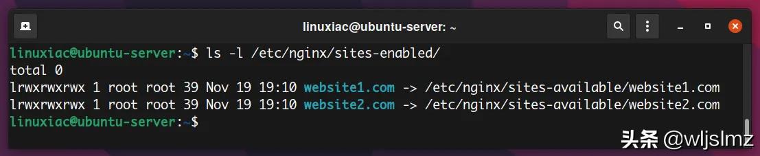 nginx服务器可以设置多少虚拟主机,nginx虚拟主机控制面板怎么使用