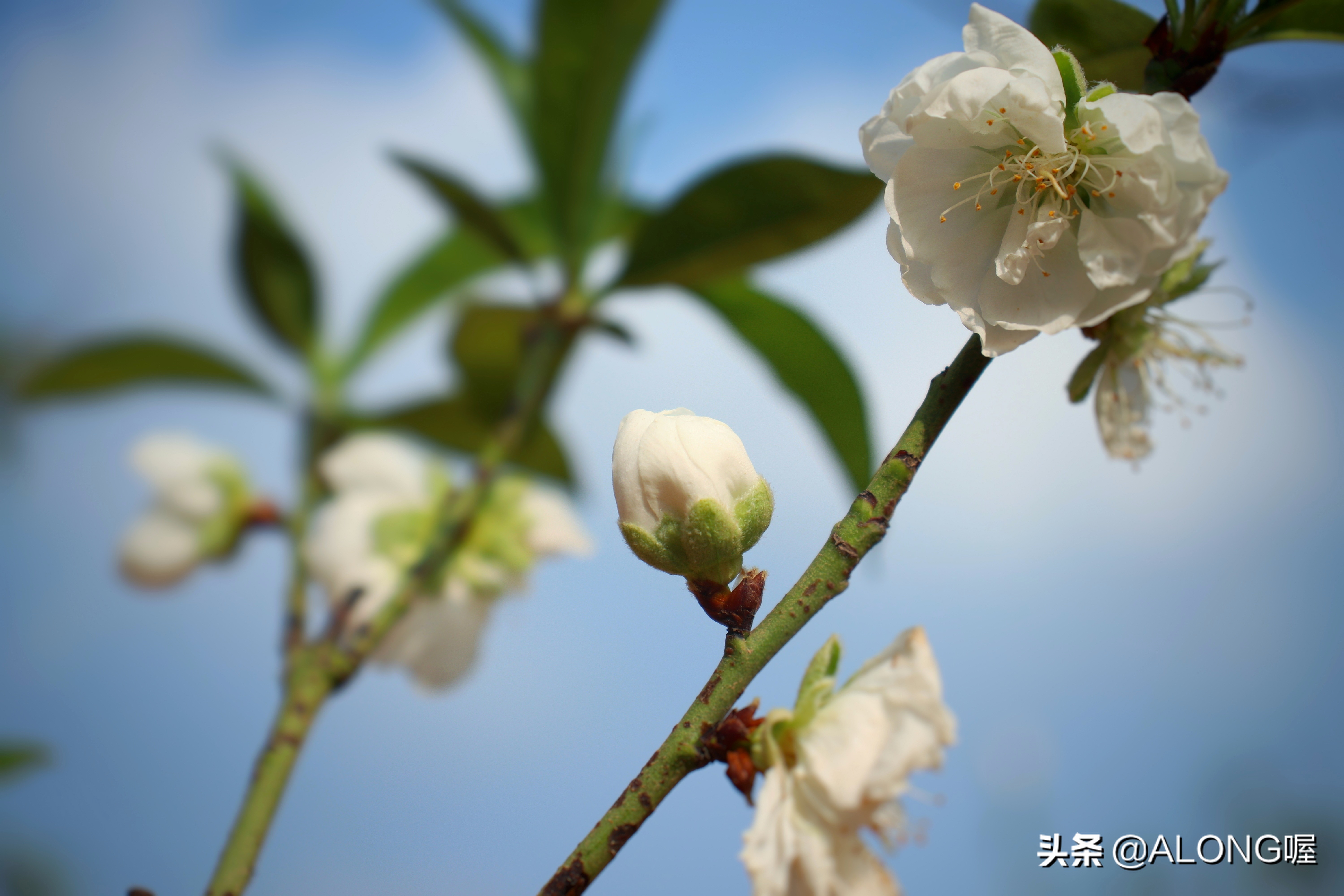 佳能77d最适合的全画幅,佳能77d摄影基础知识入门