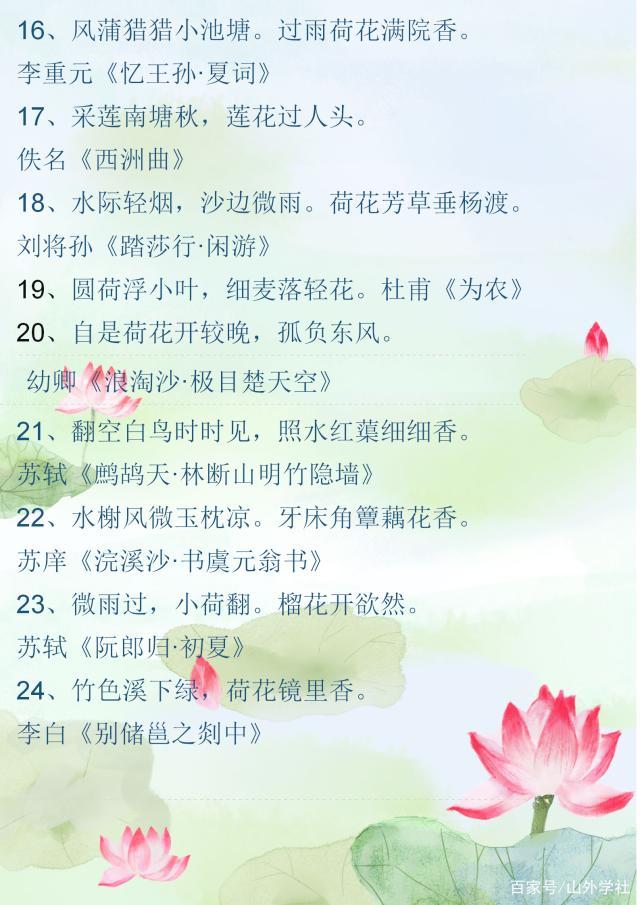 描写荷花每个生长阶段诗词,描写荷花盛开的优美诗词