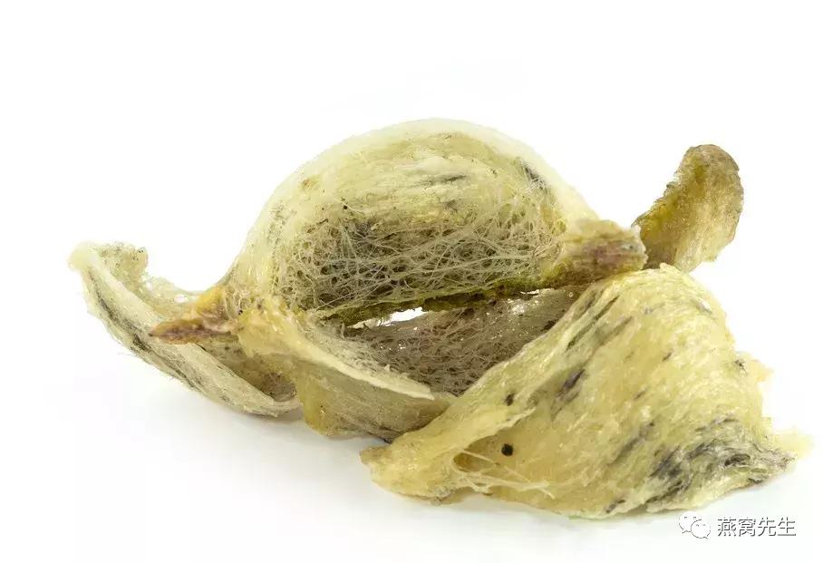 燕窝的保存方法及时间,燕窝保存的正确方法