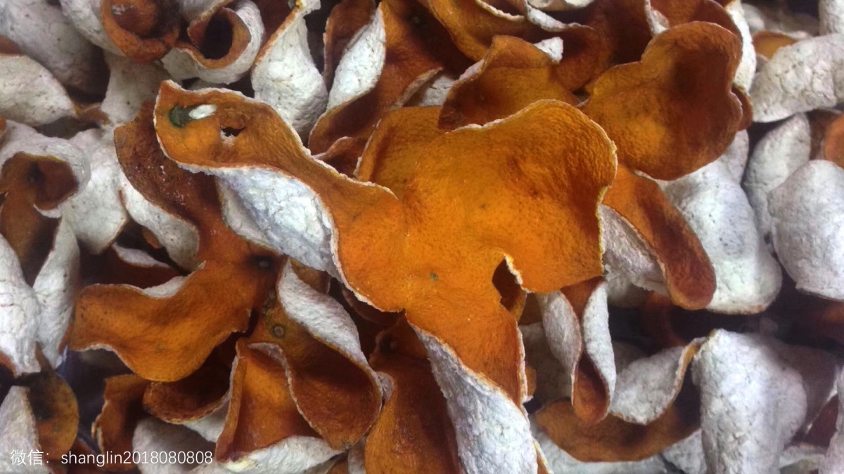 新会陈皮果农直播,广西陈皮和新会陈皮的区别