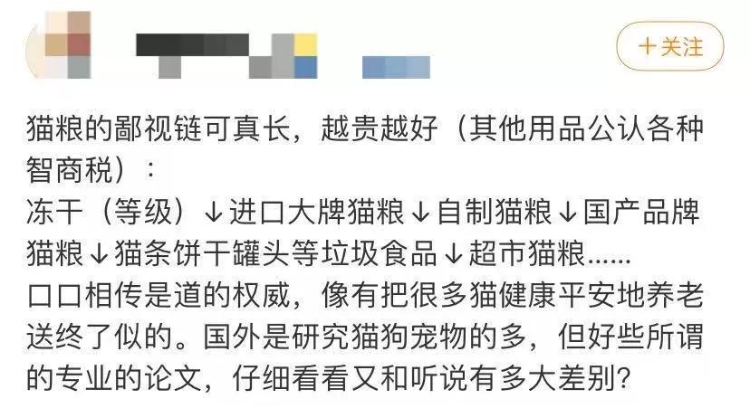 本以为养猫是为了不孤单,以为单身就可以自由