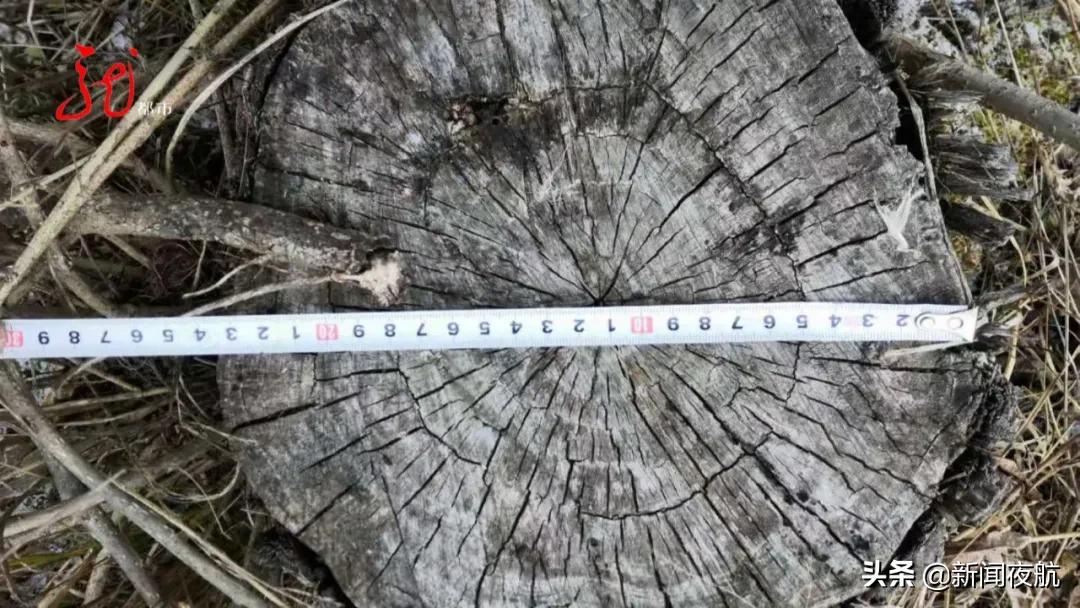 11人的足球场有分大小的吗,十一人场标准足球场有多大