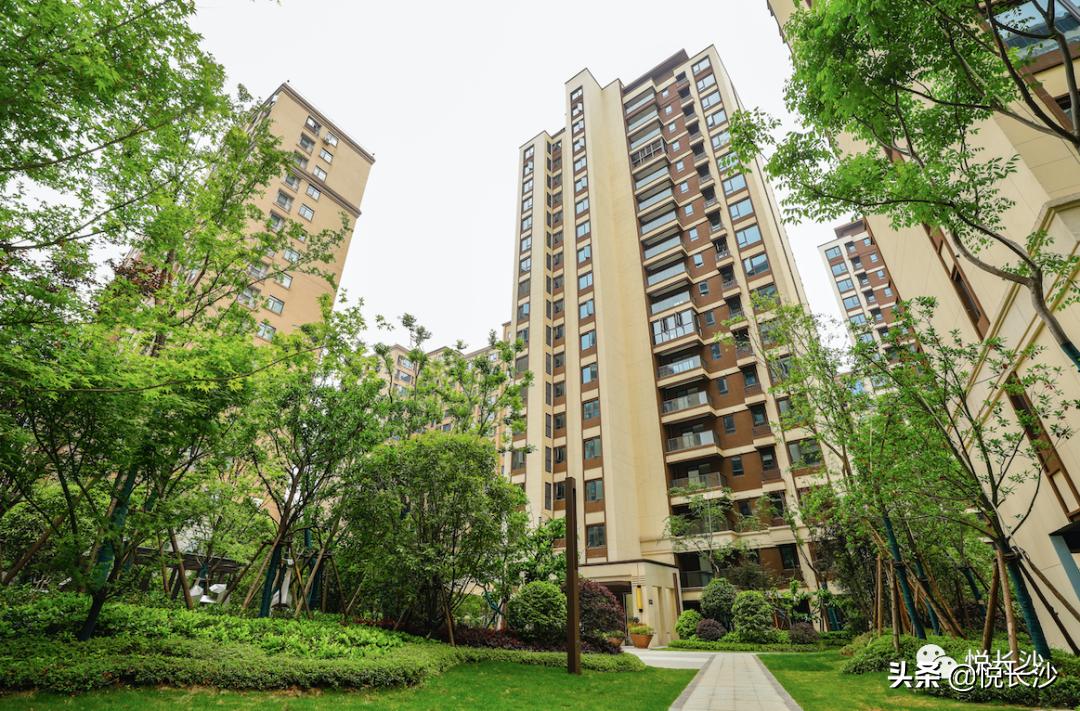 同价位，选精装现房or毛坯期房？还有德思勤商圈加持，近青园小学