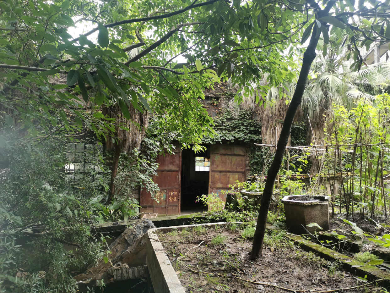 北碚区原三线建设老厂区,重庆北碚废弃工厂