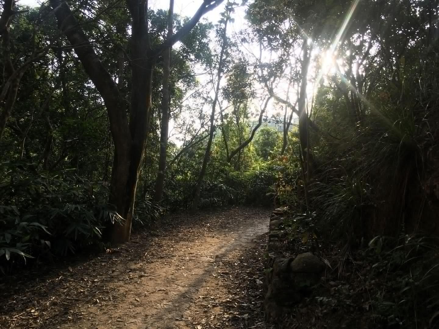 阿迪达斯terrex鞋评测,adidas阿迪达斯terrextechrock