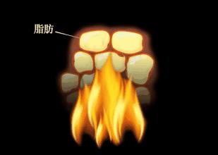 什么是hit运动,高强度hit训练