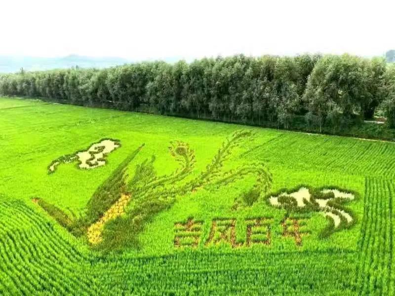 大连60条精品旅游线路,大连旅游一日游线路推荐