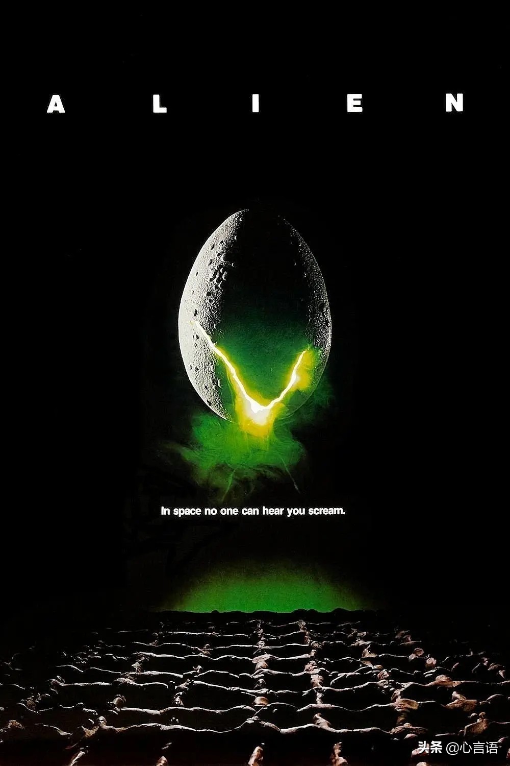 恐怖片合集一口气看不完系列,一部经典恐怖片大结局