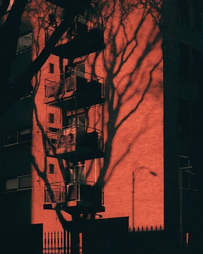 《第二炉香》|有关于“脏”的遮羞布