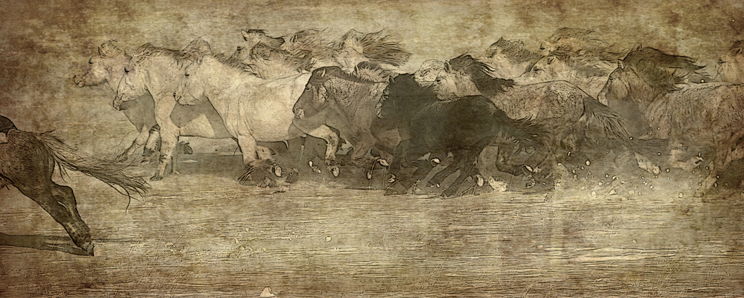 拍马都追不上的成语,拍马都赶不上的成语