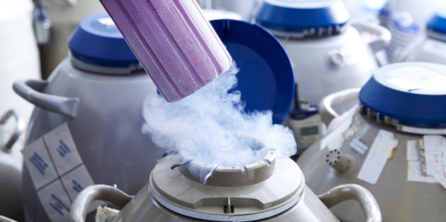 女明星接连去冻卵,好多明星冻卵以后怎么生孩子