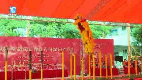 藤县最近有什么大新闻,藤县最近发生什么了