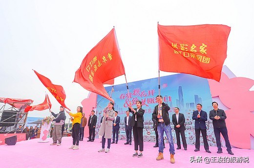 温州龙湾樱花,温州看樱花的地方