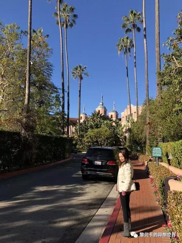 好看的羽绒服都买了吗,真的有羽绒服是95白鸭绒的么