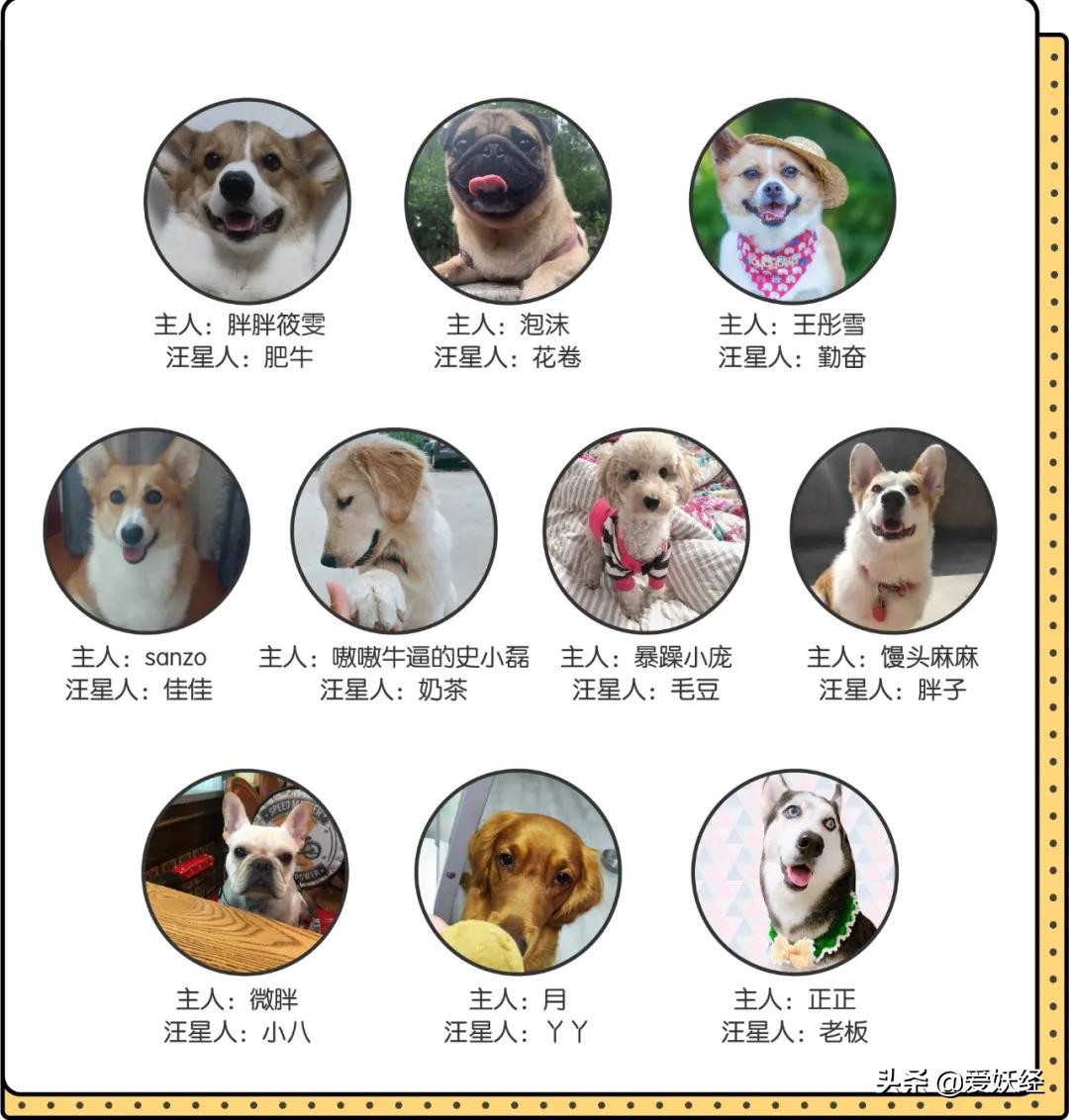 怡亲新品冻干生骨肉，据说是可以做主食的零食