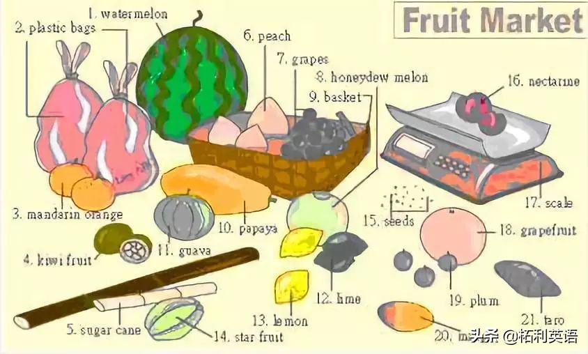 36张图记住英文生活用词,3-6岁儿童必背英语24个单词