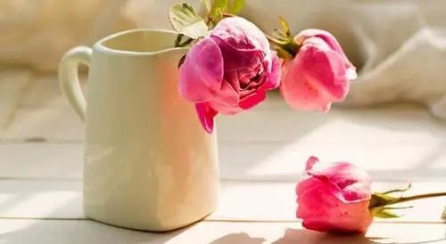 生活语录句句戳心文案,生活感悟情感美文经典语录